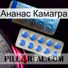 Ананас Камагра 40